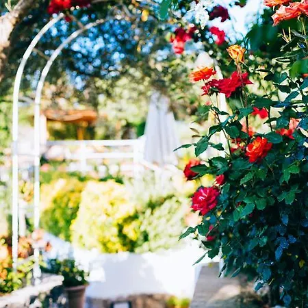 Alojamento de Acomodação e Pequeno-almoço Il Giardino Dell'arte 2*