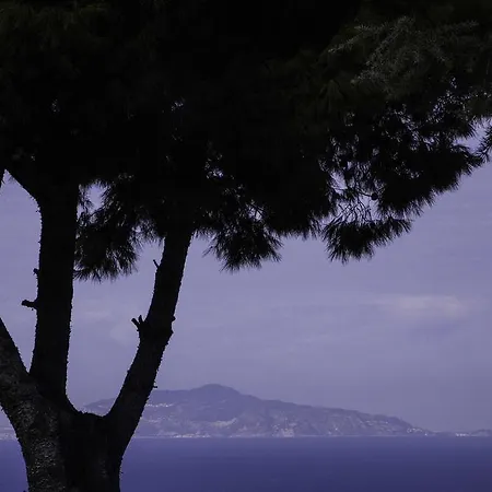 Il Giardino Dell'arte Alojamento de Acomodação e Pequeno-almoço Anacapri (Isola di Capri)