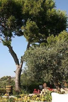 Il Giardino Dell'arte Alojamento de Acomodação e Pequeno-almoço