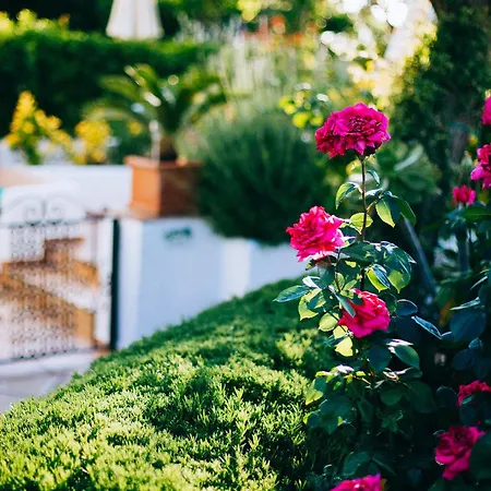 Alojamento de Acomodação e Pequeno-almoço Il Giardino Dell'arte 2*