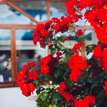 Il Giardino Dell'arte Alojamento de Acomodação e Pequeno-almoço