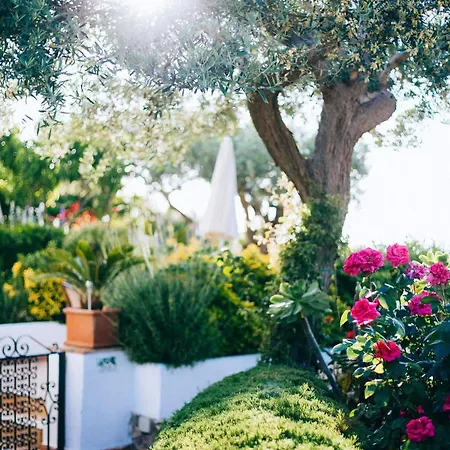 Alojamento de Acomodação e Pequeno-almoço Il Giardino Dell'arte Anacapri (Isola di Capri)